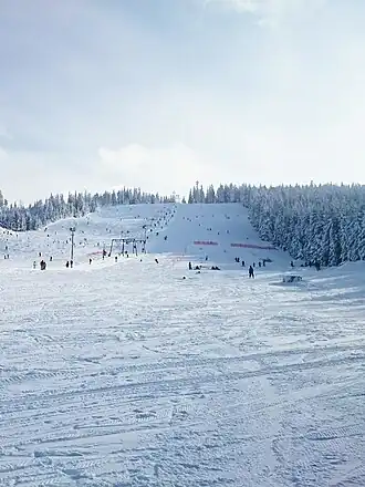 Skipiste op de Mehliskopf
