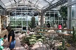 The Arid room woestijnsectie