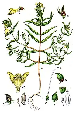 Illustratie van Jacob Sturm