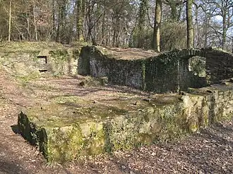 Ruïne Burg Rodenburg