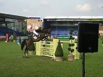 Meredith Michaels-Beerbaum op Checkmate (2007)