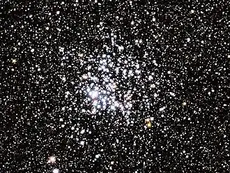 Wilde eendcluster