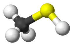 Molecuulmodel van methaanthiol