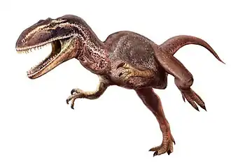 Metriacanthosaurus