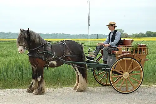 Klein type voor een kar