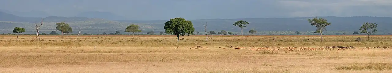 Landschap van Mikumi