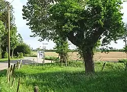 Fietspad in Millinger Bruch