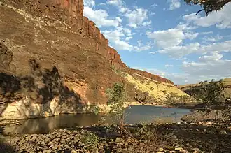 Billabong in het nationaal park Millstream-Chichester