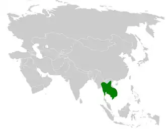 Indochinese struikleeuwerik