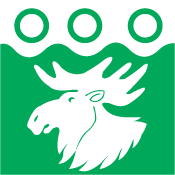 Vlag van de gemeente Misso