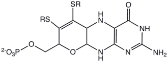 Molybdopterine