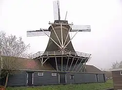 Staart met achterzijde schuren