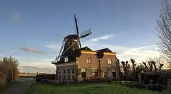 Molen De Zwaluw, Hasselt (Overijssel) - In het vroege voorjaar.