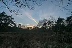 Heidegebied Moltmakersstuk in het Mensingerbos