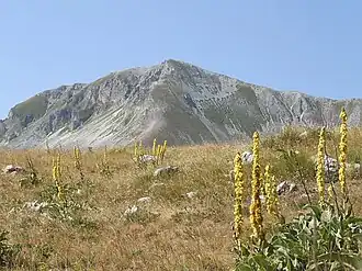 Monte della Scindarella