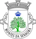 Vlag van Montes da Senhora