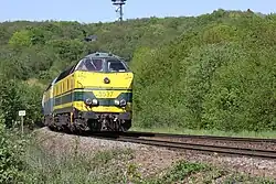 Goederentrein op de Montzenroute. Op de achtergrond de uitkijktoren op het Drielandenpunt