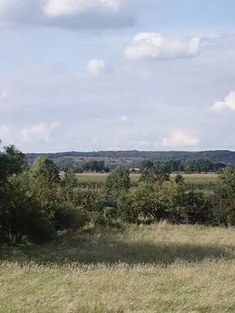 Zicht over de Mookerheide richting Maasdal