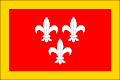 Vlag