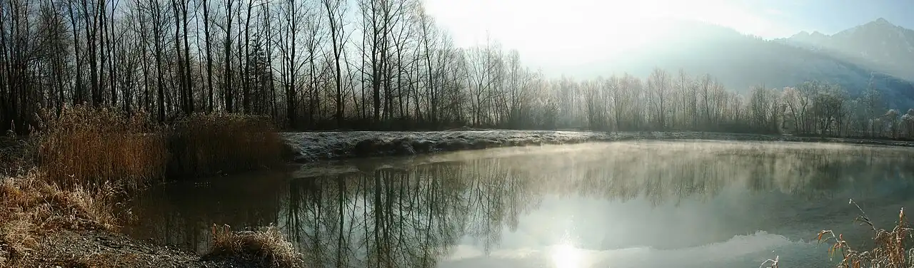 Ochtendmist in Oostenrijk