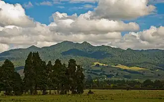Mount Pirongia in 2008
