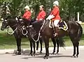 Mounties, Canada