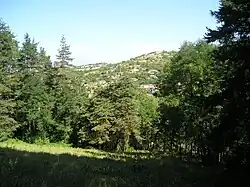 Uitzicht op het dorp