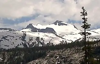 De top van de Mount Lyell