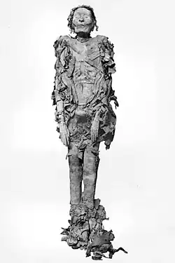 Mummie van onbekende man C gevonden te cache DB320, vermoedelijk Senenmoet.