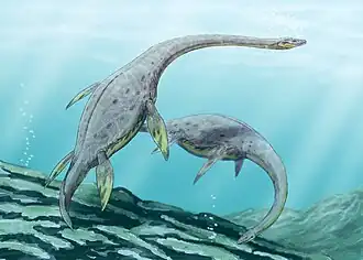 Muraenosaurus
