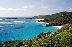 De kust van Mustique