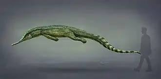 Mystriosuchus