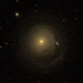 NGC 3106