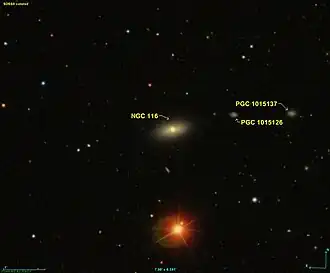 NGC 116