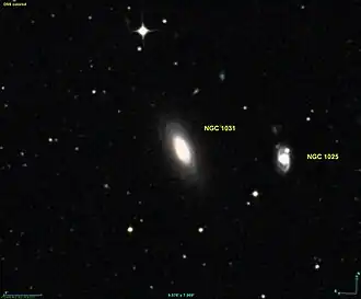 NGC 1031