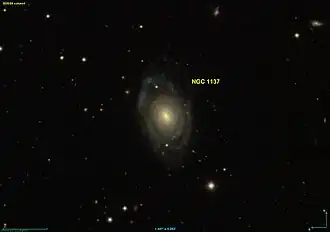 NGC 1137