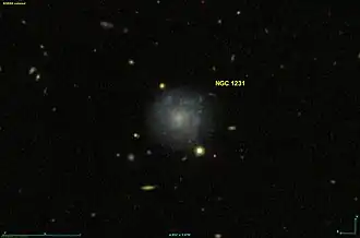 NGC 1231