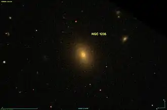 NGC 1236