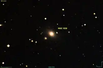 NGC 1239