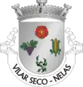 Vlag van Vilar Seco