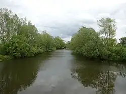 Grietherorter Altrhein