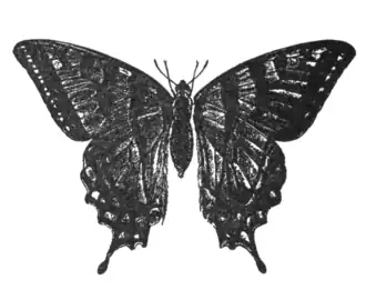 Tatoeage van de hoofdpersoon.