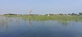 Nal Sarovar Bird Sanctuary