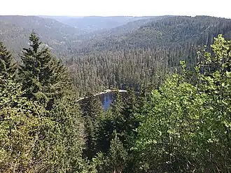 Wildsee in Nationaal Park Schwarzwald