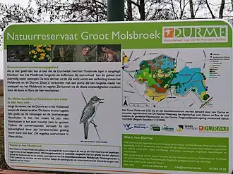 Molsbroek