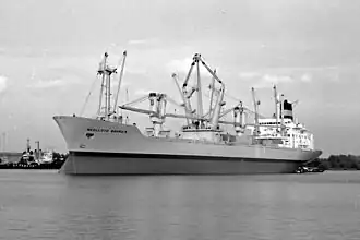 Nedlloyd Bahrain op het Noordzeekanaal