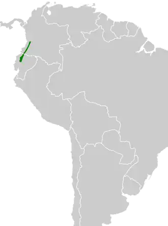 Gebandeerde grondkoekoek