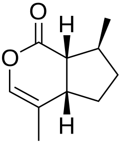 Structuurformule van cis-trans-nepetalacton