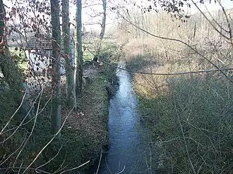 De Nethen bij Bevekom