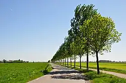 Het Weddepad door de Oostbroekpolder